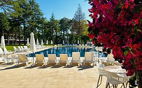 Куин Нели Парк